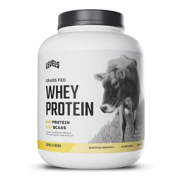 Whey Protein Powder 2