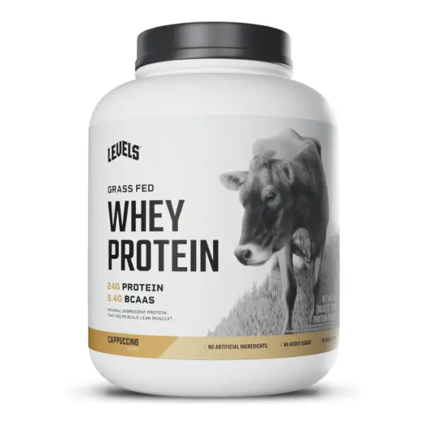 Whey Protein Powder 3